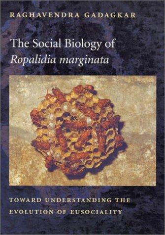 Cover of The social biology of Ropalidia marginata