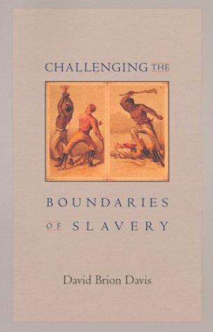 Cover of Challenging the boundaries of slavery