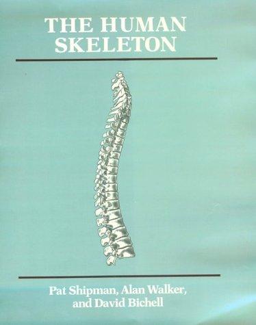 Cover of The Human Skeleton