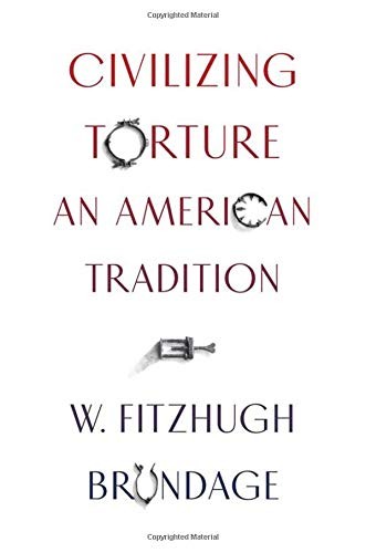 Cover of Civilizing Torture