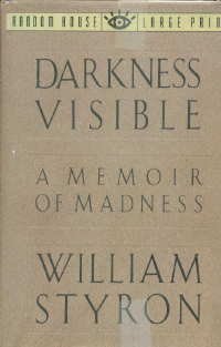 Cover of Darkness Visible