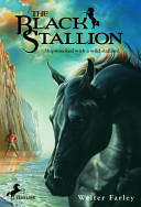Cover of The Black Stallion