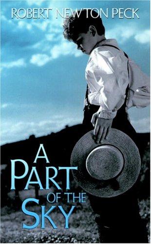 Cover of A part of the sky