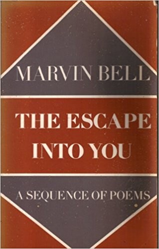 Cover of The escape into you