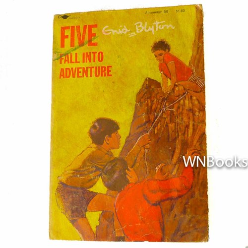 Cover of Five Fall Into Adventure