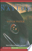 Cover of Witch Water
