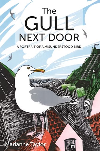 Cover of Gull Next Door