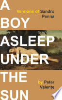 Cover of A Boy Asleep Under the Sun