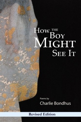 Cover of How the Boy Might See It