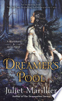 Cover of Dreamer's Pool