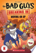Cover of Bad Guys TV Chapter Book #2 ebook