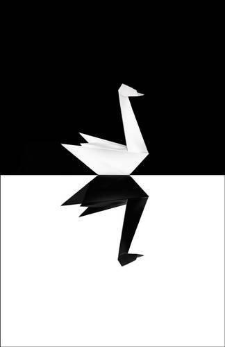 Cover of The Black Swan