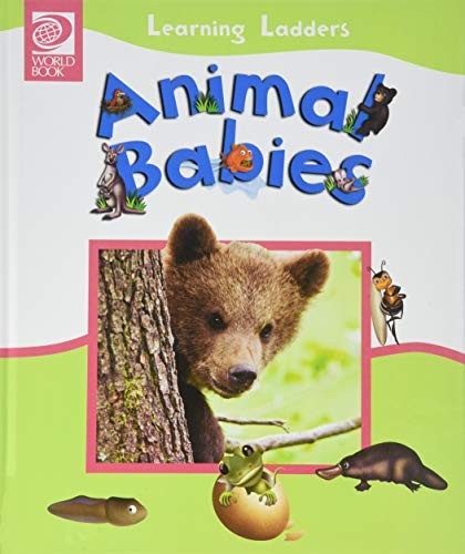 Cover of Animal Babies