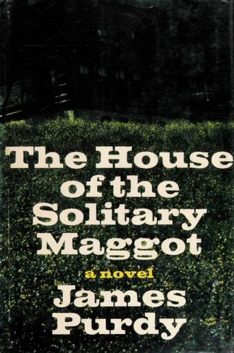 Cover of The house of the solitary maggot