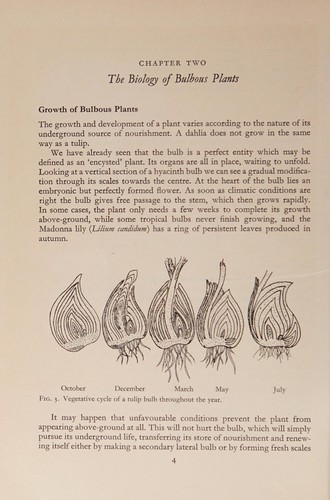 Cover of The bulb book