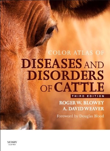 Cover of Color Atlas of Diseases and Disorders of Cattle