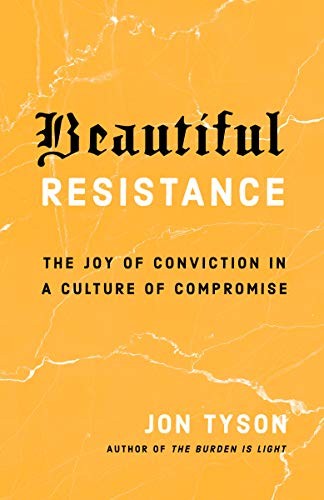 Cover of Beautiful Resistance