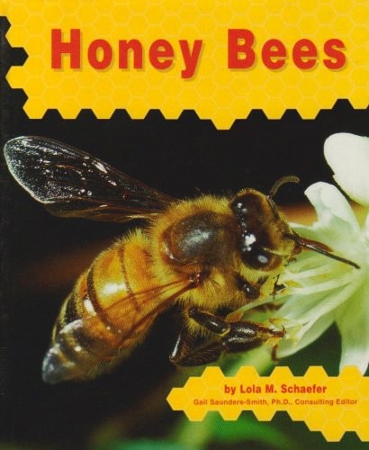 Cover of Honey bees