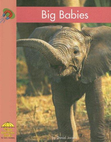 Cover of Big Babies (Yellow Umbrella Books)