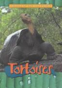 Cover of Tortoises (Animals of the Rain Forest)