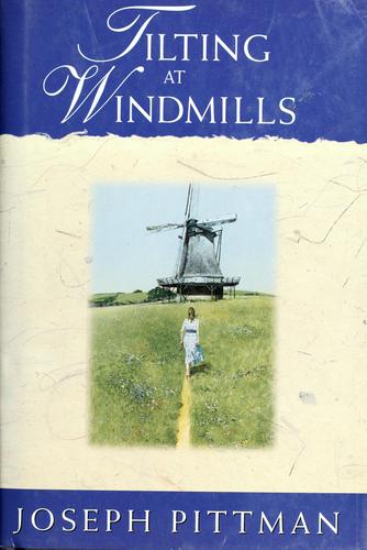 Cover of Tilting at windmills