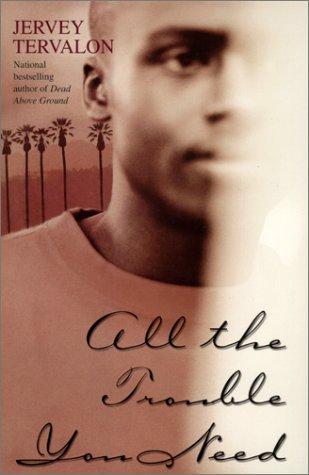 Cover of All the trouble you need