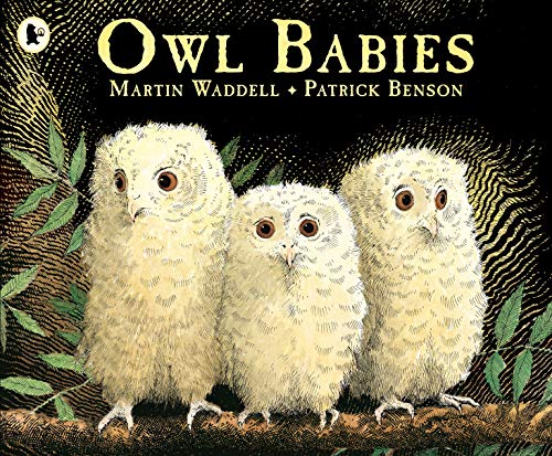Cover of Owl Babies