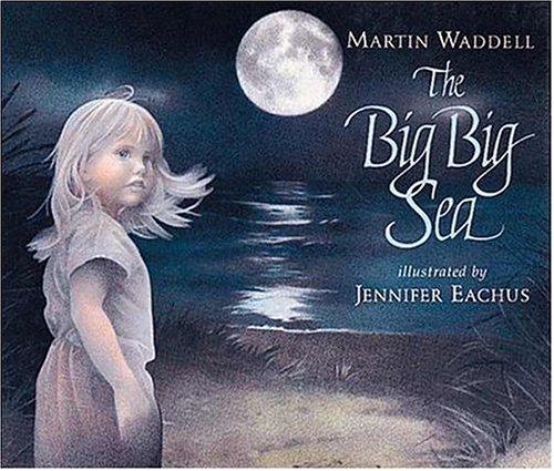 Cover of The Big Big Sea