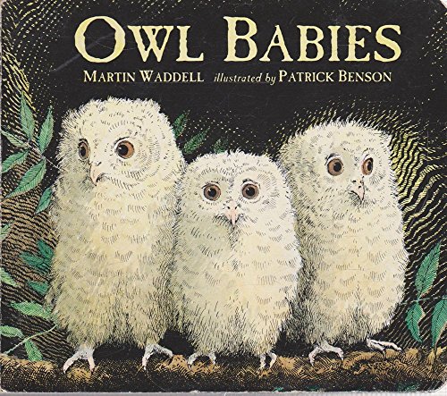 Cover of Owl Babies