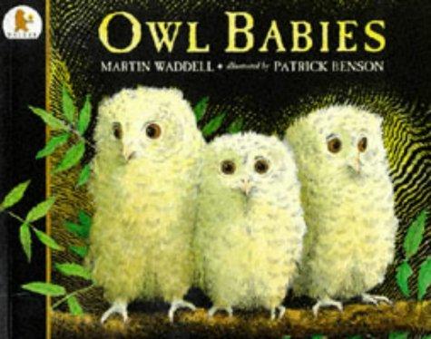 Cover of Owl Babies Board Book and Owl Toy Gift Box