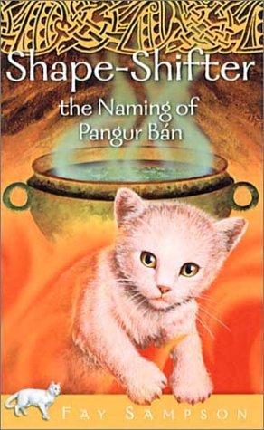 Cover of Shape-Shifter; The Naming of Pangur Bán (Pangur Ban #4)