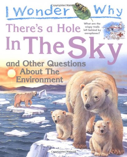 Cover of I wonder why there's a hole in the sky and other questions about the environment