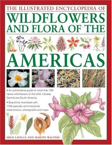 Cover of The illustrated encyclopedia of wild flowers and flora of the Americas
