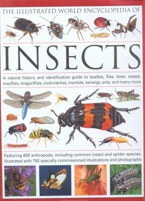 Cover of The Illustrated World Encyclopedia Of Insects A Natural History And Identification Guide To Beetles Flies Bees Wasps Mayflies Dragonflies Cockroaches Mantids Earwigs Ants And Many More