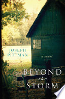 Cover of Beyond the Storm