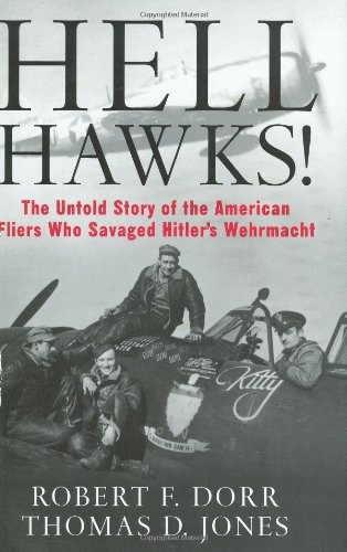 Cover of Hell hawks!