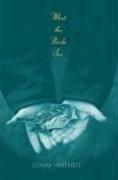 Cover of What the Birds See