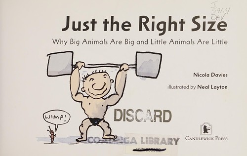 Cover of Just the right size