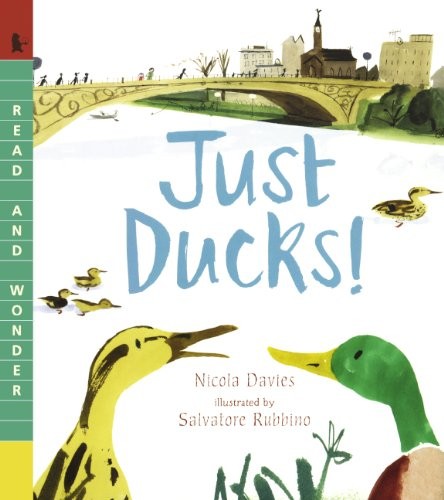 Cover of Just Ducks!