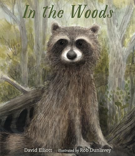 Cover of In the Woods