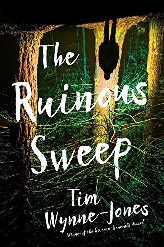 Cover of The ruinous sweep