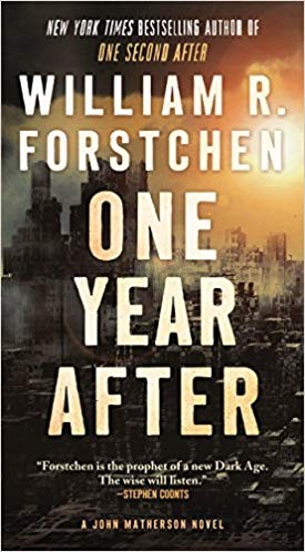 Cover of One Year After