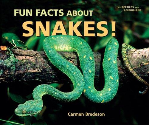 Cover of Fun Facts About Snakes! (I Like Reptiles and Amphibians!)