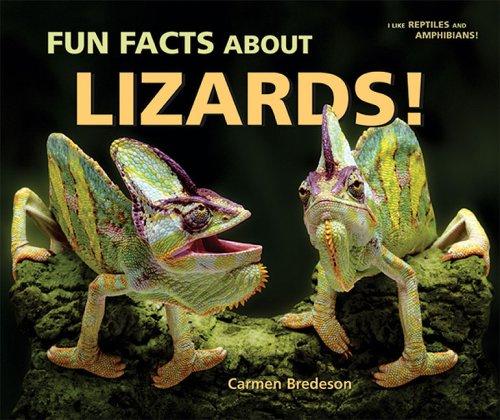 Cover of Fun Facts About Lizards! (I Like Reptiles and Amphibians!)
