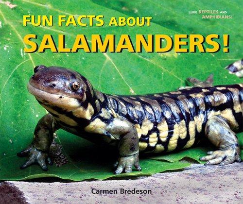 Cover of Fun Facts About Salamanders! (I Like Reptiles and Amphibians!)