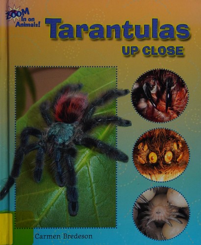 Cover of Tarantulas Up Close (Zoom in on Animals!)