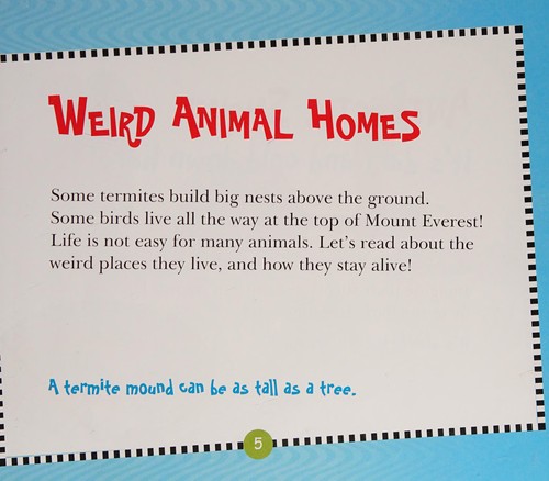 Cover of Weird but true animal homes