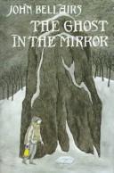 Cover of The Ghost in the Mirror