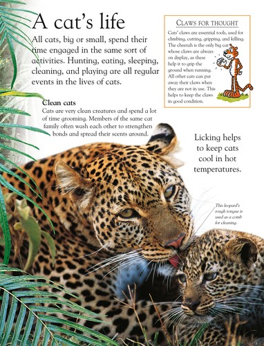 Cover of Big cats