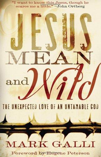 Cover of Jesus Mean and Wild